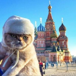 Meet your Posher, Kathryn